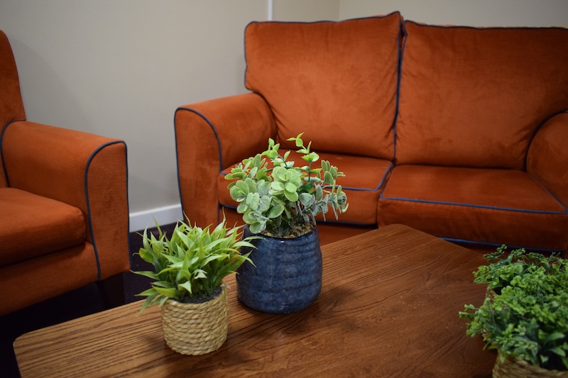 Couch with coffee table and potted plants at Roby House